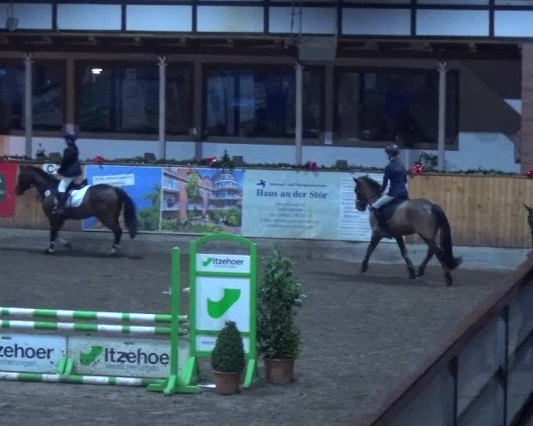 Reitturnier Hamburg-Friedrichshulde 2017