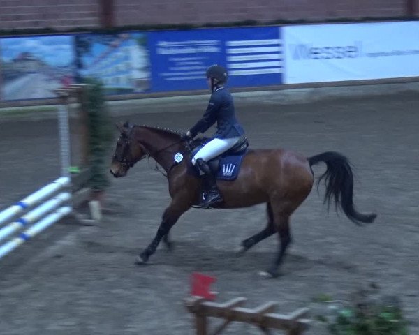 Reitturnier Hamburg-Friedrichshulde 2017