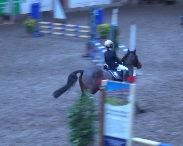 Reitturnier Hamburg-Friedrichshulde 2017