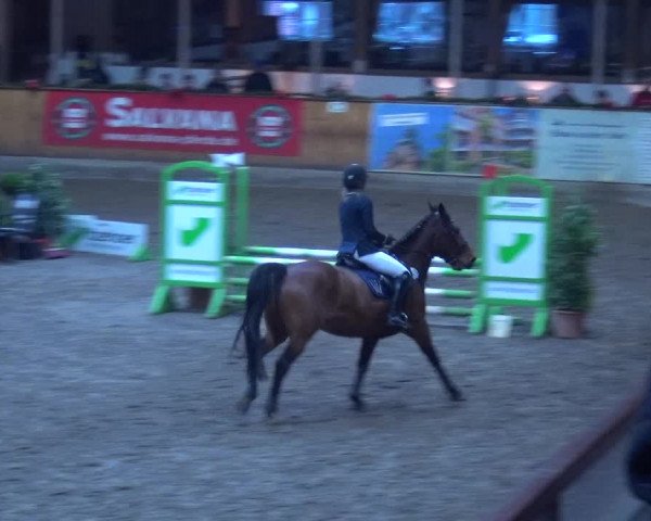 Reitturnier Hamburg-Friedrichshulde 2017