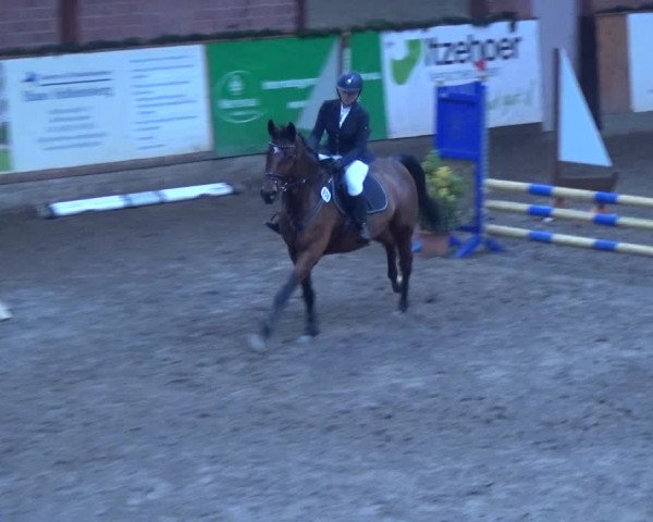 Reitturnier Hamburg-Friedrichshulde 2017