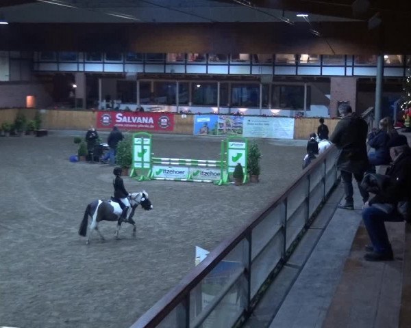 Reitturnier Hamburg-Friedrichshulde 2017