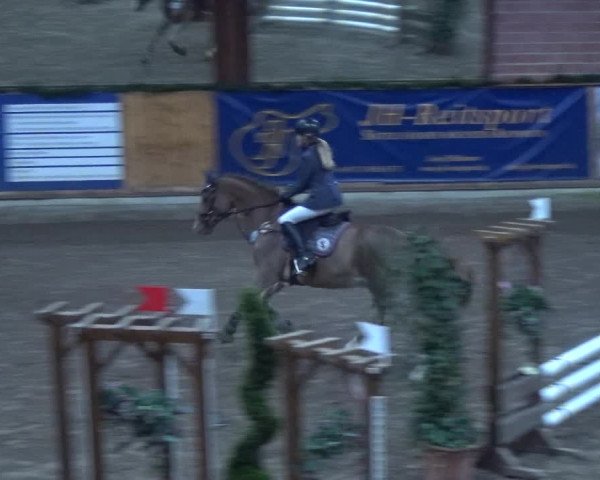 Reitturnier Hamburg-Friedrichshulde 2017