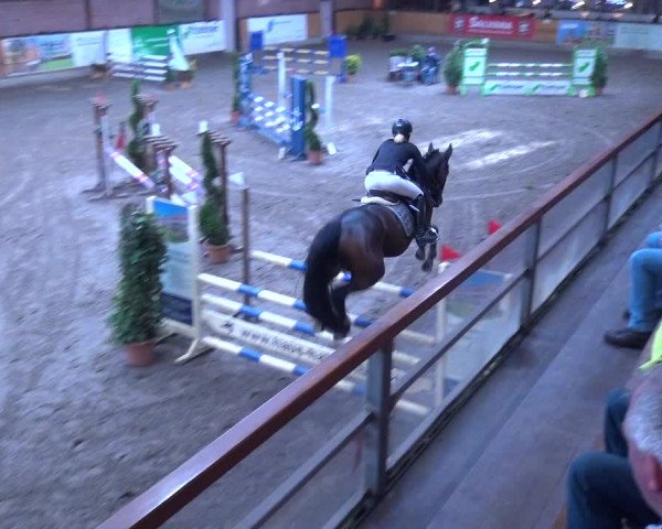 Reitturnier Hamburg-Friedrichshulde 2017