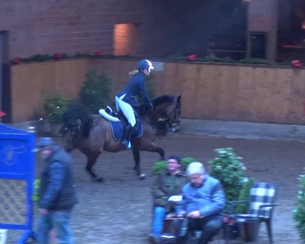 Reitturnier Hamburg-Friedrichshulde 2017