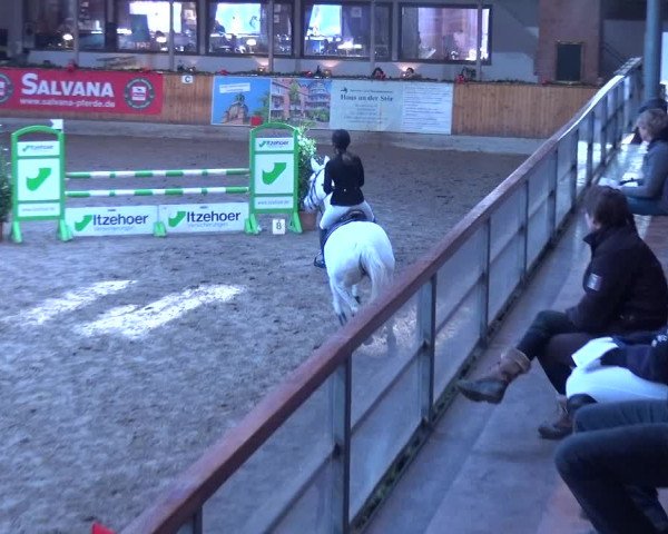 Reitturnier Hamburg-Friedrichshulde 2017