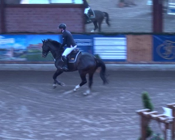 Reitturnier Hamburg-Friedrichshulde 2017