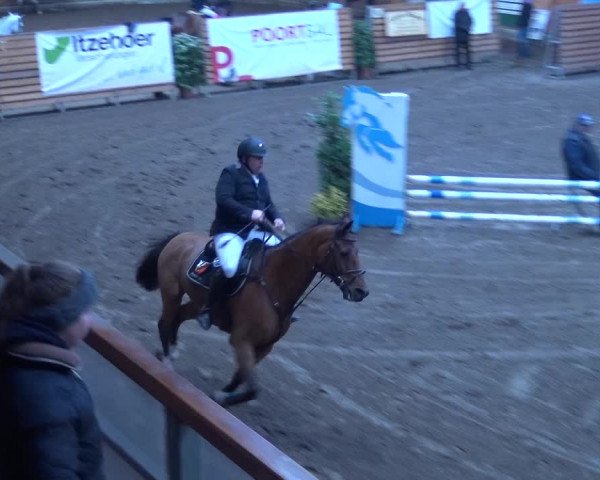 Reitturnier Hamburg-Friedrichshulde 2017