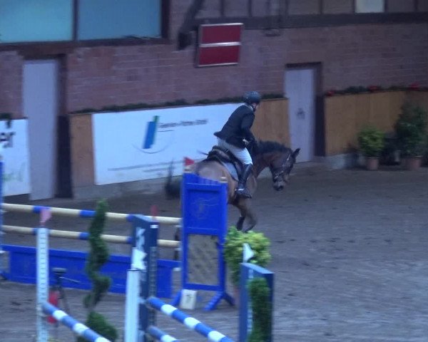 Reitturnier Hamburg-Friedrichshulde 2017
