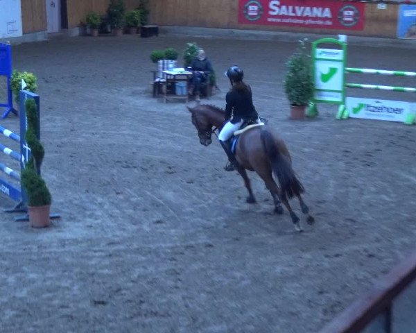Reitturnier Hamburg-Friedrichshulde 2017