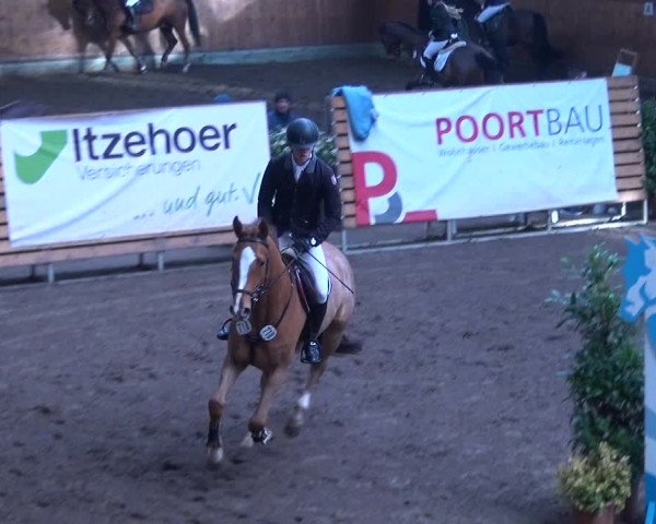 Reitturnier Hamburg-Friedrichshulde 2017