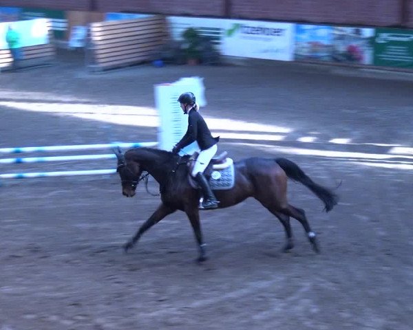 Reitturnier Hamburg-Friedrichshulde 2017