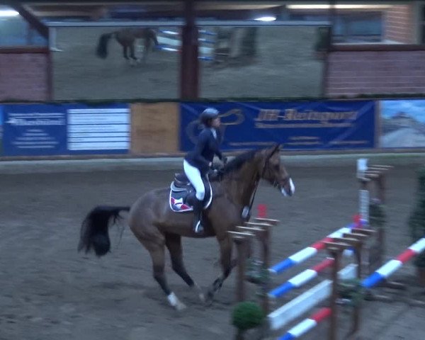 Reitturnier Hamburg-Friedrichshulde 2017