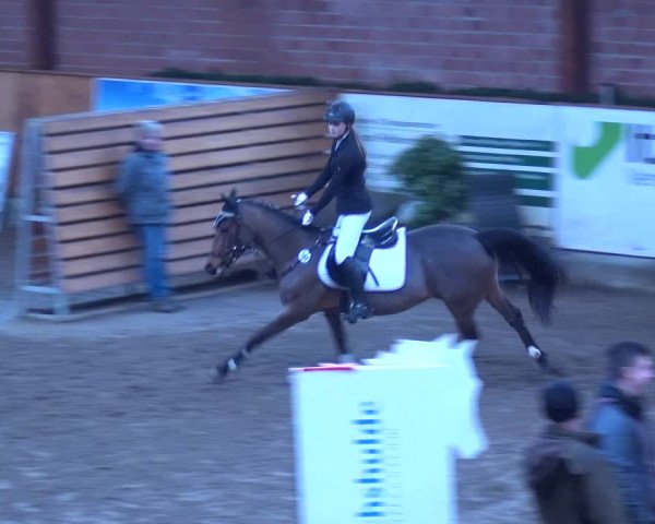 Reitturnier Hamburg-Friedrichshulde 2017