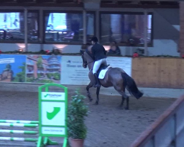 Reitturnier Hamburg-Friedrichshulde 2017