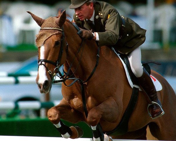 Pferd Millstreet Ruby (Irish Sport Horse, 1984, von King of Diamonds)