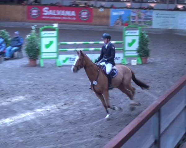 Reitturnier Hamburg-Friedrichshulde 2017