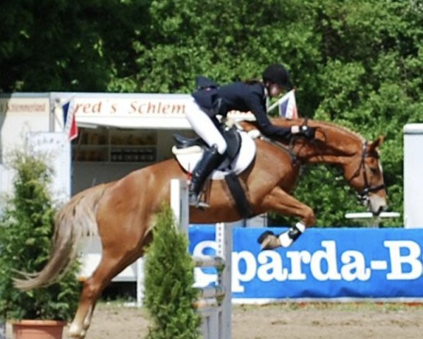 Springpferd Waterloo 233 (Hannoveraner, 1999, von Wonderland)