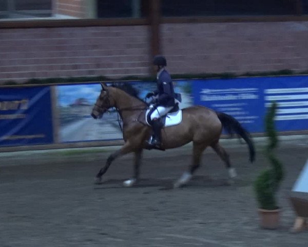 Reitturnier Hamburg-Friedrichshulde 2017