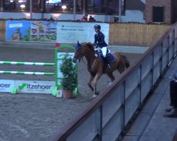Reitturnier Hamburg-Friedrichshulde 2017
