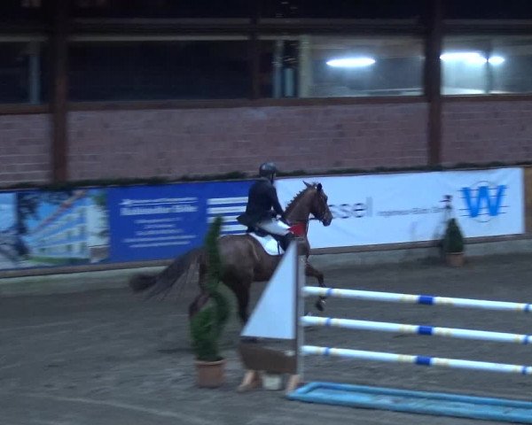 Reitturnier Hamburg-Friedrichshulde 2017