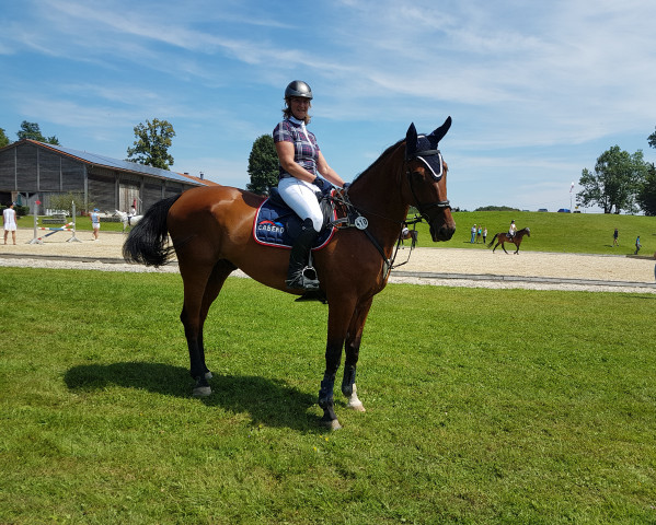 jumper Nakuru (Oldenburg show jumper, 2004, from Fighting Alpha)