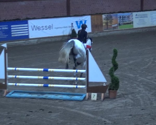 Reitturnier Hamburg-Friedrichshulde 2017