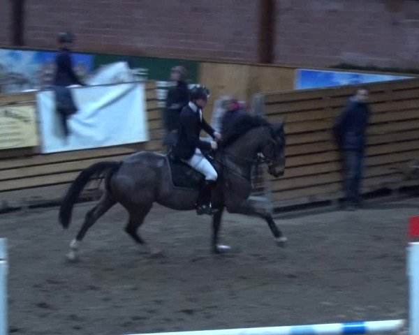 Reitturnier Hamburg-Friedrichshulde 2017