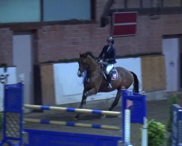 Reitturnier Hamburg-Friedrichshulde 2017
