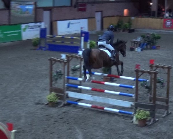 Reitturnier Hamburg-Friedrichshulde 2017