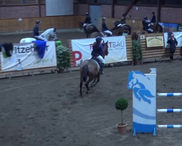 Reitturnier Hamburg-Friedrichshulde 2017