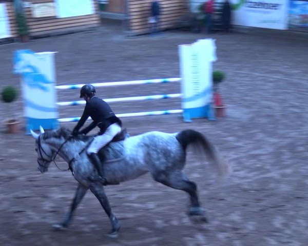 Reitturnier Hamburg-Friedrichshulde 2017
