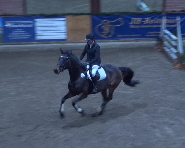 Reitturnier Hamburg-Friedrichshulde 2017