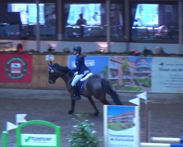 Reitturnier Hamburg-Friedrichshulde 2017