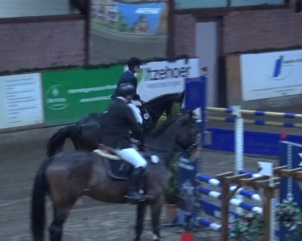 Reitturnier Hamburg-Friedrichshulde 2017