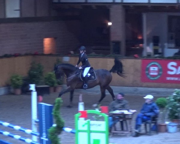 Reitturnier Hamburg-Friedrichshulde 2017