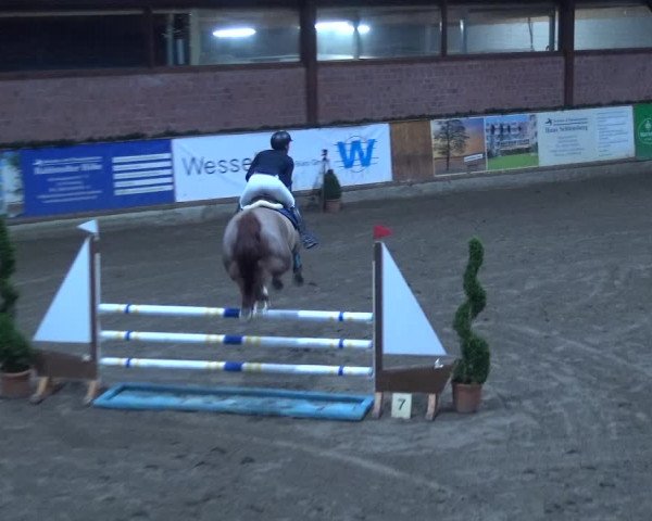 Reitturnier Hamburg-Friedrichshulde 2017