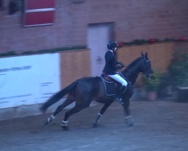 Reitturnier Hamburg-Friedrichshulde 2017