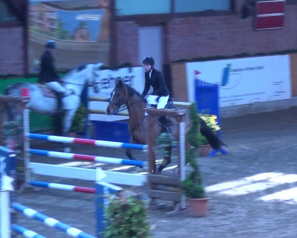 Reitturnier Hamburg-Friedrichshulde 2017