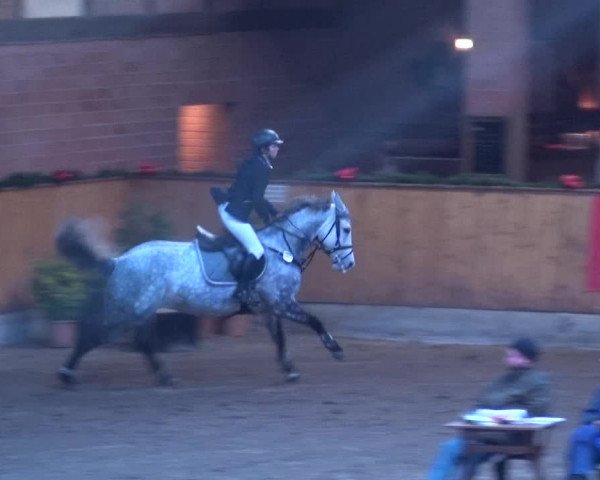 Reitturnier Hamburg-Friedrichshulde 2017