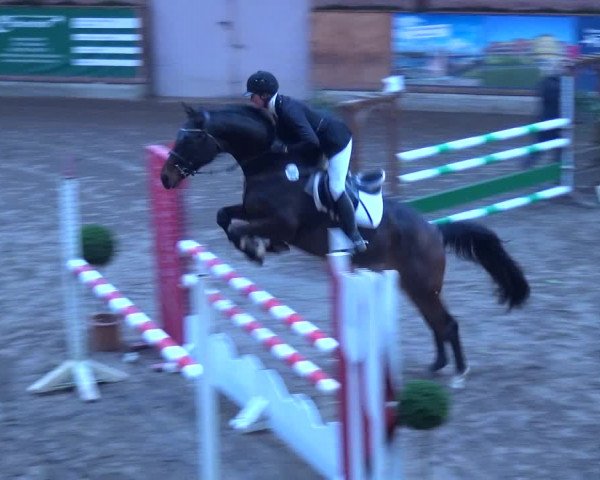 Reitturnier Hamburg-Friedrichshulde 2017