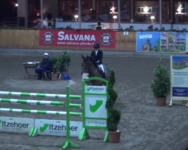 Reitturnier Hamburg-Friedrichshulde 2017