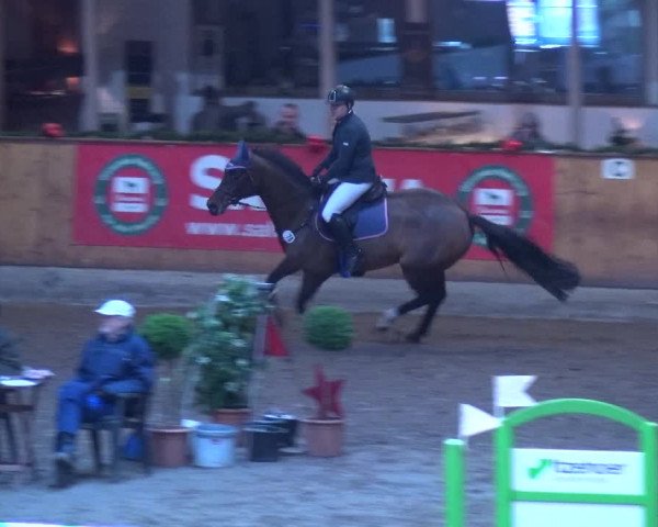 Reitturnier Hamburg-Friedrichshulde 2017