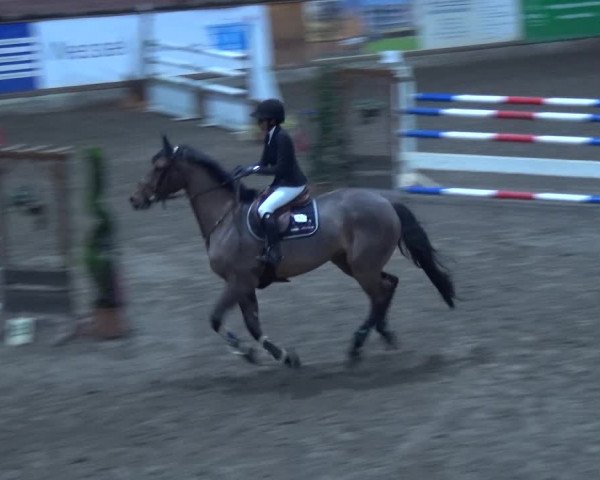 Reitturnier Hamburg-Friedrichshulde 2017