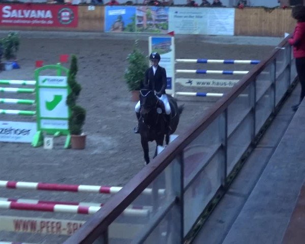 Reitturnier Hamburg-Friedrichshulde 2017