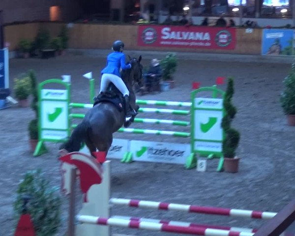 Reitturnier Hamburg-Friedrichshulde 2017