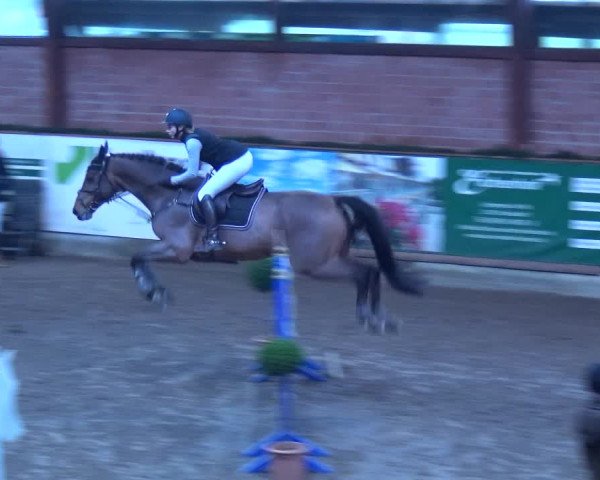 Reitturnier Hamburg-Friedrichshulde 2017