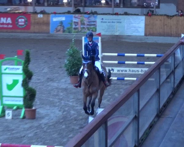 Reitturnier Hamburg-Friedrichshulde 2017