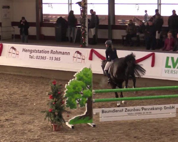 Reitturnier Alt Marl 2017