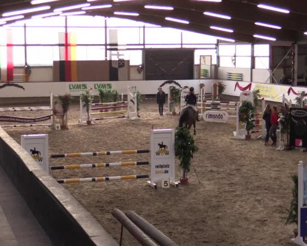 Reitturnier Alt Marl 2017